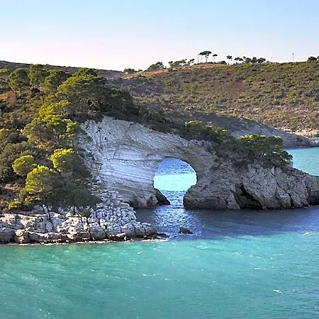 Pugnochiuso Belvedere Aparthotel 2*
