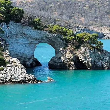 Pugnochiuso Belvedere 2*